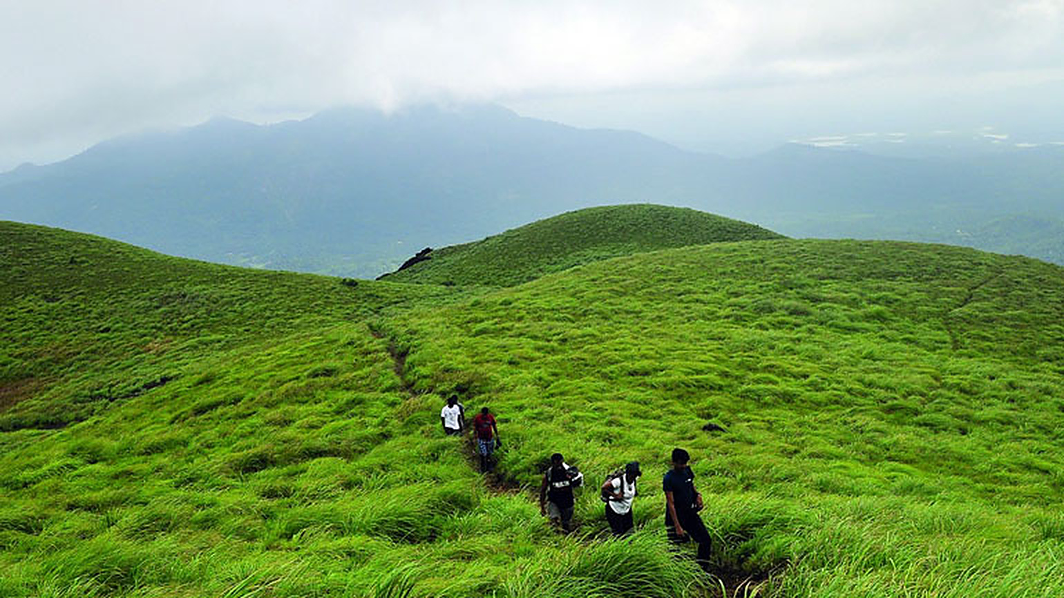 Freshup, eat, then explore Wayanad
